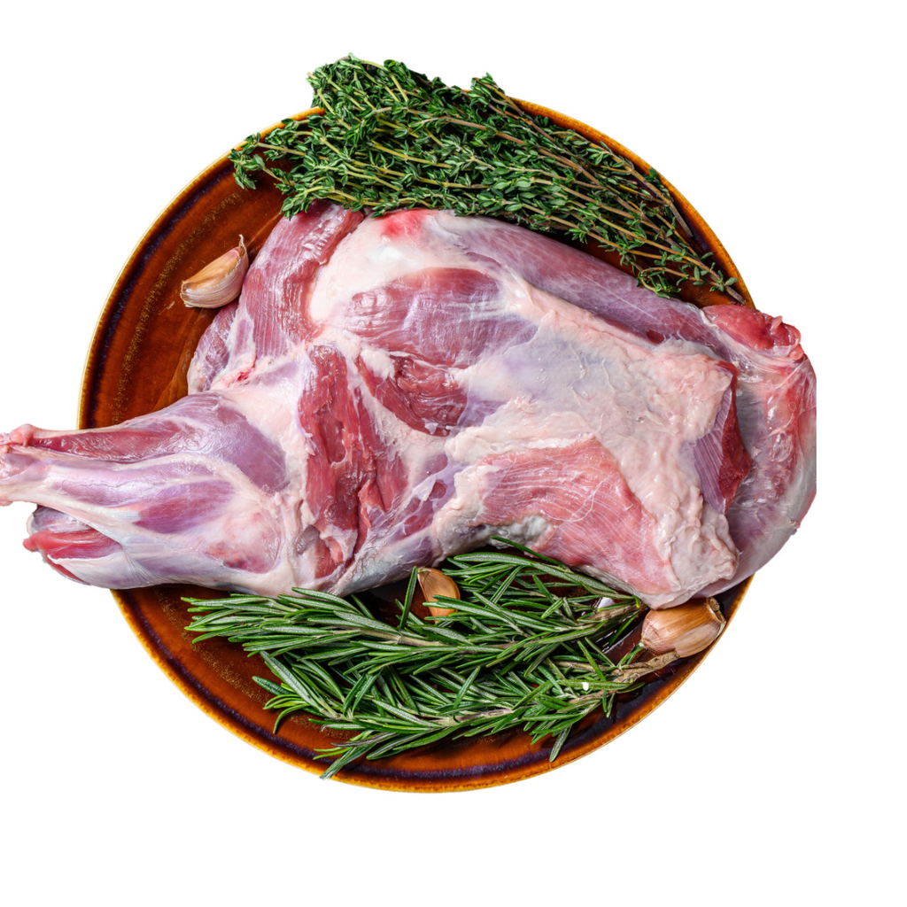 CCC - Shoulder