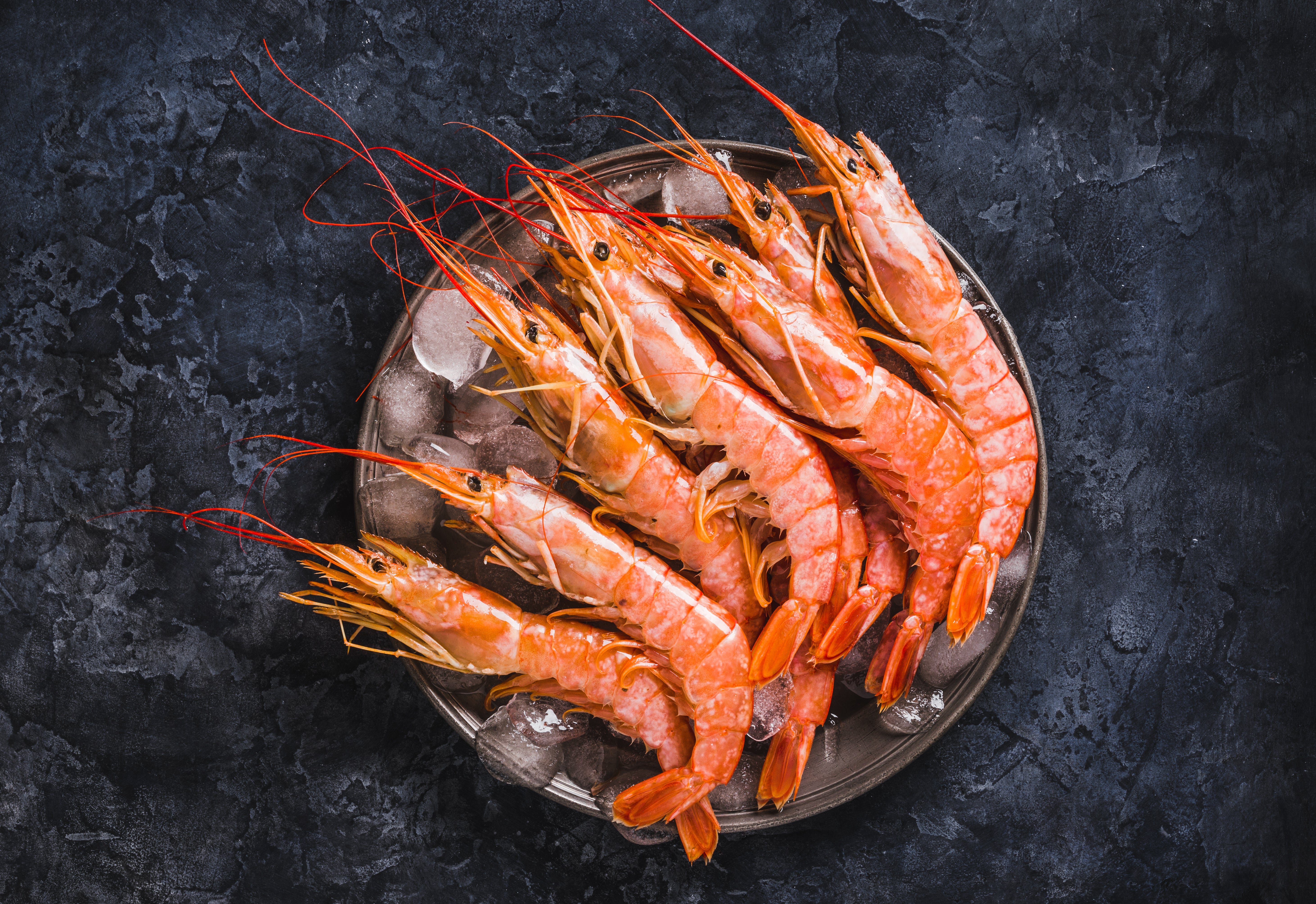 King Pink Prawn 800g