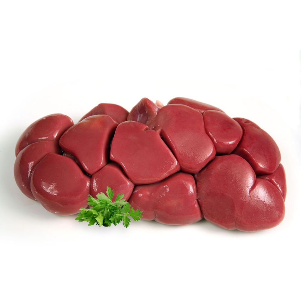 Ox Kidney